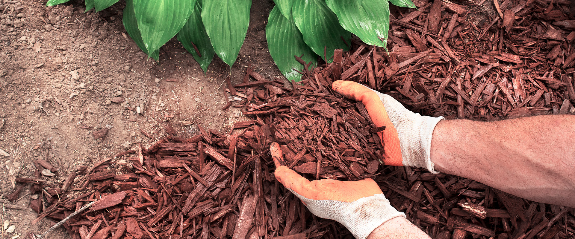 bulk mulch supplier near me